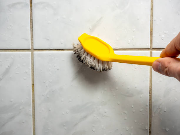 Best White Mold Remediation in Las Lomas, CA