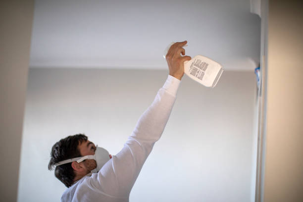 Best Kitchen Mold Remediation in Las Lomas, CA