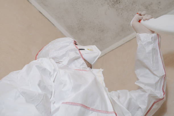 Best Residential Mold Remediation in Las Lomas, CA